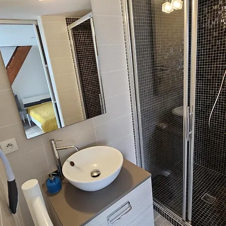 Royan: Charmant T3 Avec Mezzanine, Jardin Et Terrasse, Pres Des Commodites - Fr-1-71-102 Appartement Royan