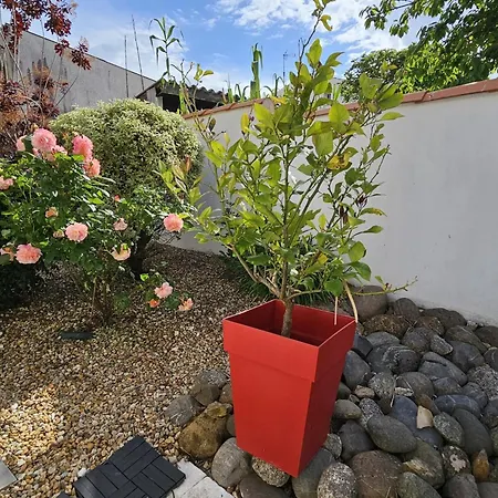Royan: Charmant T3 Avec Mezzanine, Jardin Et Terrasse, Pres Des Commodites - Fr-1-71-102 Appartement Royan